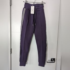 Buffbunny Collection Purple Plum Joggers